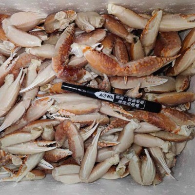 扁蟹蟹钳 冰冻梭子蟹脚蟹钳 纯海捕 可家用商用批发 中号蟹钳图2