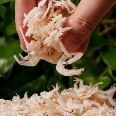 生晒虾皮虾米辅食做汤特产干货海鲜散装即食高钙鲜味虾皮图5