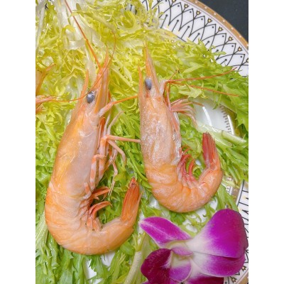 批发活冻南海麻虾沙虾卢虾鲜活速冻鲜蛎虾海虾鲜活立虾滑皮虾海捕图4