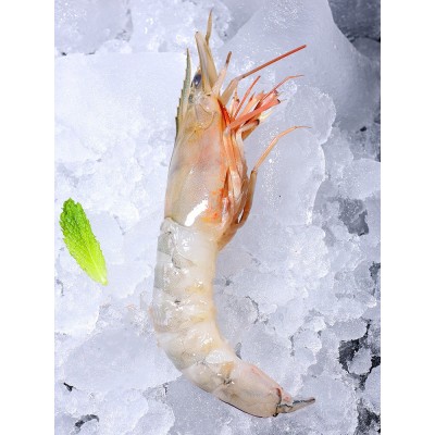 批发活冻南海麻虾沙虾卢虾鲜活速冻鲜蛎虾海虾鲜活立虾滑皮虾海捕图3