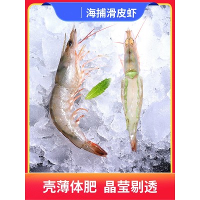 批发活冻南海麻虾沙虾卢虾鲜活速冻鲜蛎虾海虾鲜活立虾滑皮虾海捕图2
