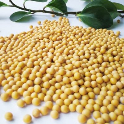 至盈黄金豆产地批发东北非转基因黄豆东升芽豆豆浆专用100斤商用图3