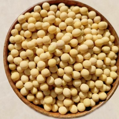 至盈黄金豆 东北非转基因大豆豆腐黄豆新货五谷杂粮厂家批发商用图3