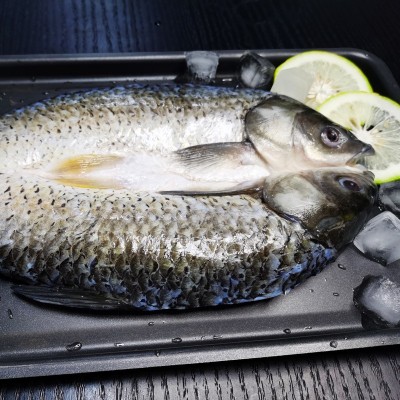 烤鱼半成品 纸上锡纸纸包鱼商用开背草鱼皖鱼新鲜冷冻预制菜食材图3