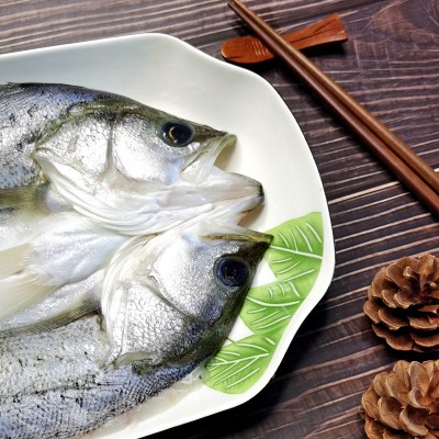 烤鱼清蒸鲈鱼批发白蕉海鲈鱼新鲜冰冻海鲜半成品开背七星芦鱼卢鱼图3