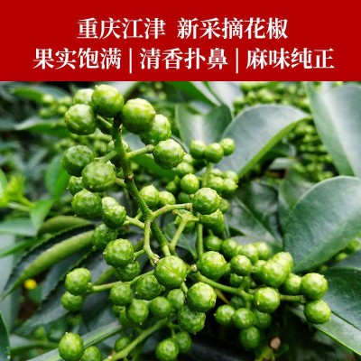 青花椒重庆江津新鲜花椒特麻特香麻辣藤椒四川特产九叶青花椒300g图3