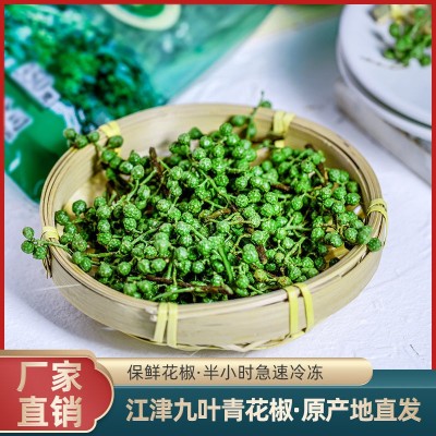 青花椒重庆江津新鲜花椒特麻特香麻辣藤椒四川特产九叶青花椒300g图2