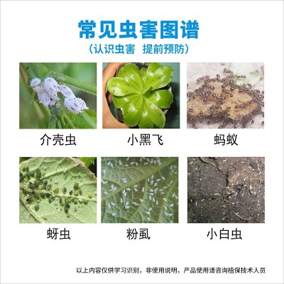 小白药吡虫啉本店批零介壳虫小黑飞花卉多肉土壤颗粒杀虫药300g图3