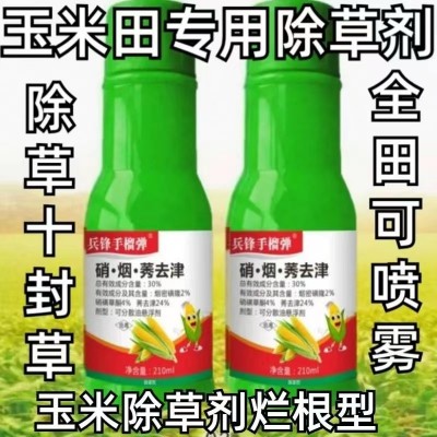 硝烟莠去津玉米地除草剂烂根死草一年生杂草芦苇马塘千金子批图2