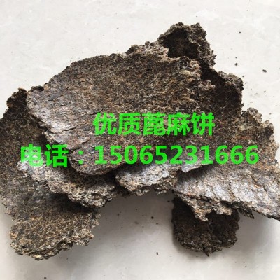 蓖麻饼厂家直销优质压榨蓖麻饼图3