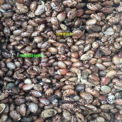 蓖麻饼厂家直销优质压榨蓖麻饼图2