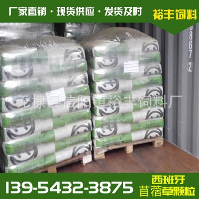 袋装西班牙苜蓿草颗粒 牛马羊禽畜饲料 西班牙苜蓿草颗粒图2