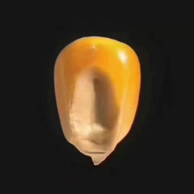 木板黏合剂80目 膨化玉米木板黏合剂 玉米粉 厂家供应现货图2