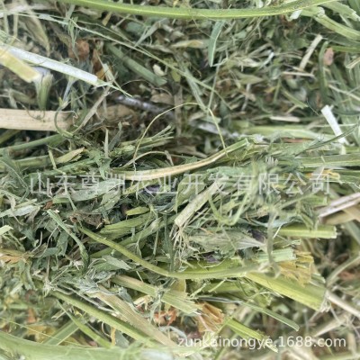 一茬苜蓿草捆 松散捆苜蓿牛马羊动物用大包紫花苜蓿加压捆图3