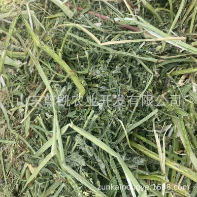 一茬苜蓿草捆 松散捆苜蓿牛马羊动物用大包紫花苜蓿加压捆图2