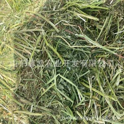 一茬苜蓿草捆 松散捆苜蓿牛马羊动物用大包紫花苜蓿加压捆图4
