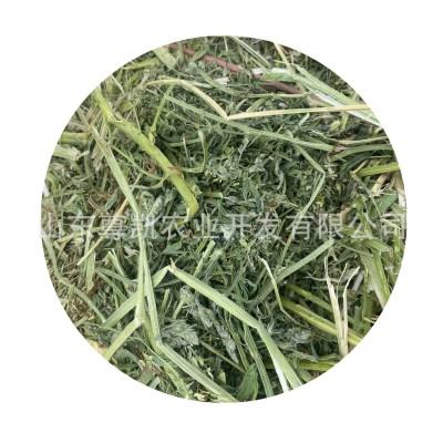 一茬苜蓿草捆 松散捆苜蓿牛马羊动物用大包紫花苜蓿加压捆图5