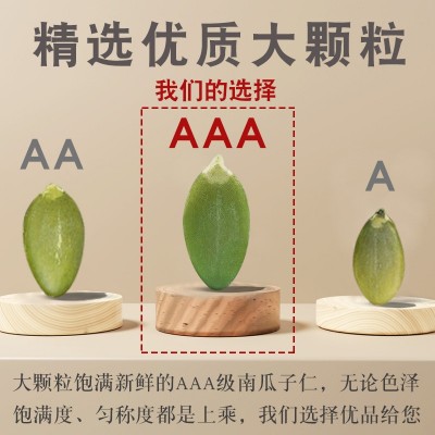 厂家直销无壳生南瓜子仁500g原味坚果新货熟内蒙古瓜子仁散装批发图2