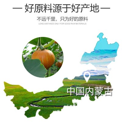 厂家直销无壳生南瓜子仁500g原味坚果新货熟内蒙古瓜子仁散装批发图5