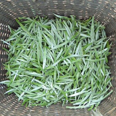 云南红茶散装自产自销蜜香金芽清香型滇红茶500克现货滇红批发图2