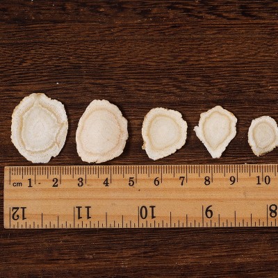 西洋参片长白山西洋参花旗参6年软质根系切片散装 规格全产地批发图5