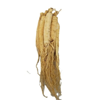 【净重半斤】盒装人参长白山人参东北特产干人参生晒参白皮参图4