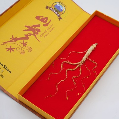 人参礼盒 东北长白山人参老年人会销礼品单支装礼盒人参批发图3