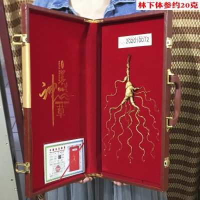 东北长白山人参礼盒装45寸pu礼盒人参批发山参礼盒人参批发图5