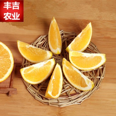 江西赣南脐橙批发高山脐橙新鲜水果时令鲜果20斤装包邮一件代发图3