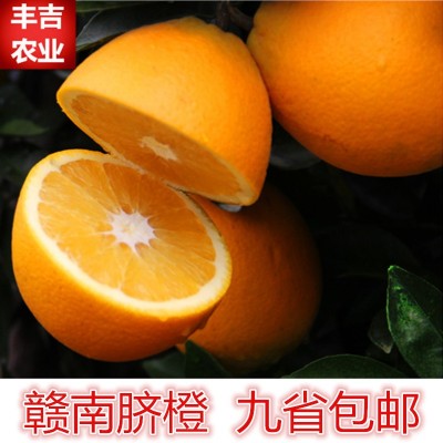 江西赣南脐橙批发高山脐橙新鲜水果时令鲜果20斤装包邮一件代发图2