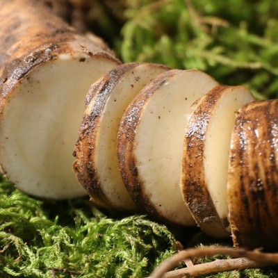 带土鲜人参 吉林长白山林下参 新鲜林下山参林下移山参现挖 人参图5