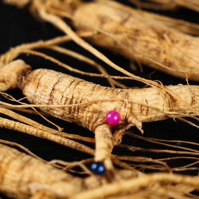 林下参礼盒 长白山干货整支生晒10年盒装人参林下籽产地批发 山参图4