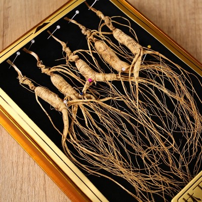 林下参礼盒 长白山干货整支生晒10年盒装人参林下籽产地批发 山参图2