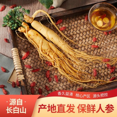 人参批发 长白山保鲜参独立包装煲汤泡酒炖煮原产地直发人参图2