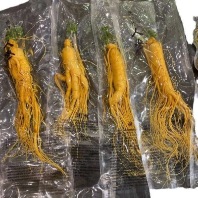 人参批发长白山人参独立包装煲汤泡酒炖煮原产地直发现货供应图4
