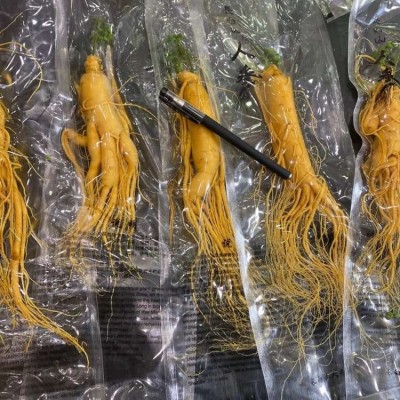 人参批发长白山人参独立包装煲汤泡酒炖煮原产地直发现货供应图3