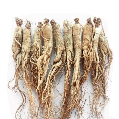 干残参长白山生晒参全须瑕疵白参磕巴参锈参规格齐全产地发货图2