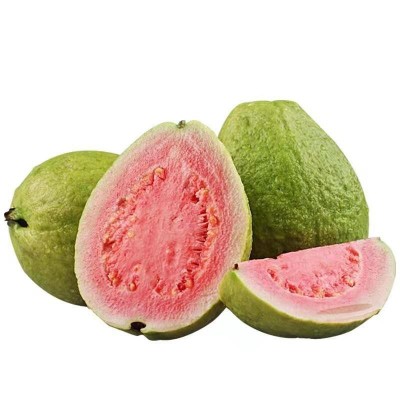 广东新鲜红心芭乐【软心】水果5斤特产软心红心番石榴一件代发图3