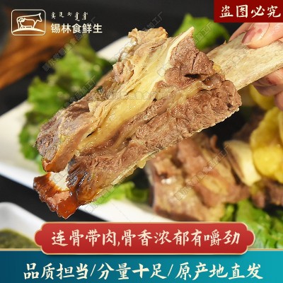 黄膘牛排原切牛排骨新鲜牛肋排锡盟草原牛肉内蒙手把牛排商用批发图2