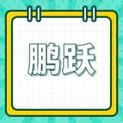 企业logo