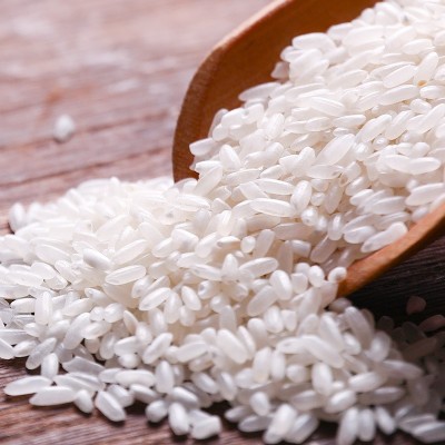 五常大米10斤装稻花香米厂家批发新米真空米砖颗粒饱满代发图4