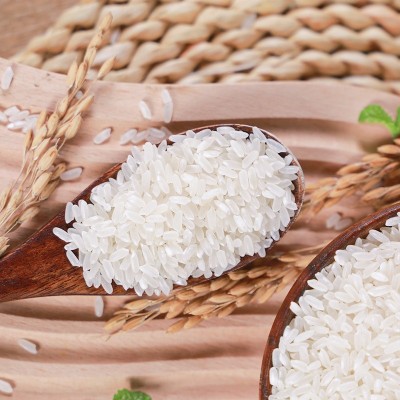 东北大米 五常香米5kg袋装大米商超团购直播长粒香米厂家批发大米图4