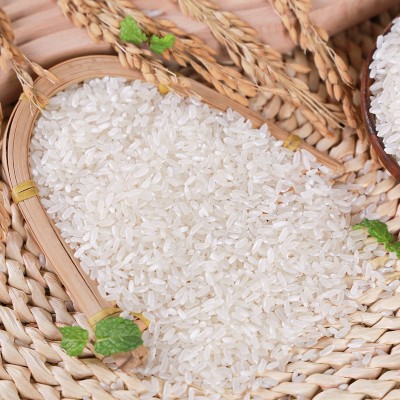 东北大米 五常香米5kg袋装大米商超团购直播长粒香米厂家批发大米图2