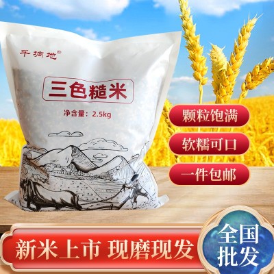 2024新米东北三色糙米红米黑米5斤健身粗粮餐五谷杂粮饭现货包邮
