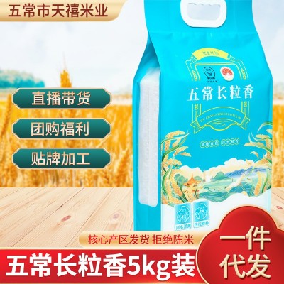 新米五常长粒香大米东北特产大米批发真空包装袋装米5KG/10斤图2