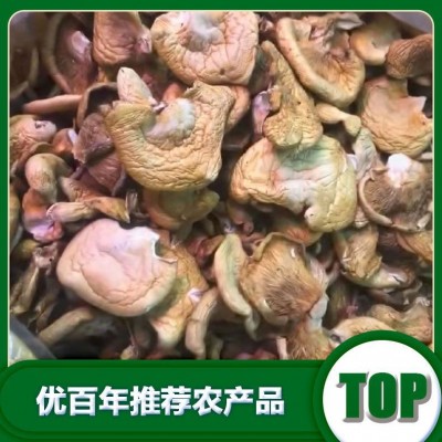 北方元蘑厂家批发干货元蘑批发货源批发图4