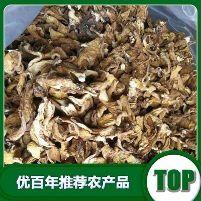 北方元蘑厂家批发干货元蘑批发货源批发图5