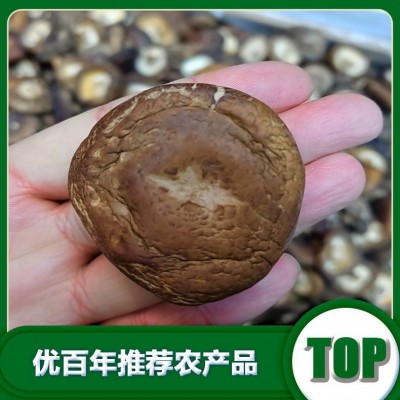 北方香菇厂家批发干货香菇批发货源批发图4