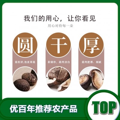 北方香菇厂家批发干货香菇批发货源批发图3