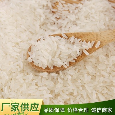 天下一塘 香米 农家基地批发大量大米5KG真空 精诚食品图4